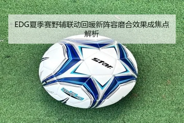 EDG夏季赛野辅联动回暖新阵容磨合效果成焦点解析